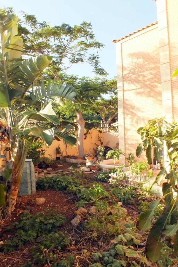 Casa Nea Apartment El Rosario  Exterior foto
